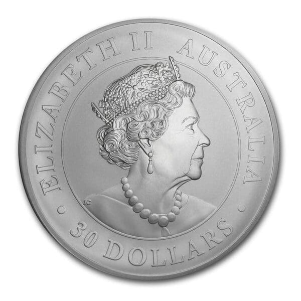 KILO SILVER PERTH KOALA (RANDOM YEAR) - Image 2