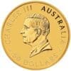 1/2 OUNCE AUSTRALIAN GOLD KANGAROO 2024 - Image 2